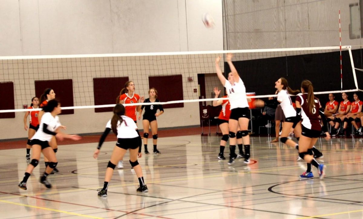 Natalie Spengler sets a volleyball to one of her hitters. 