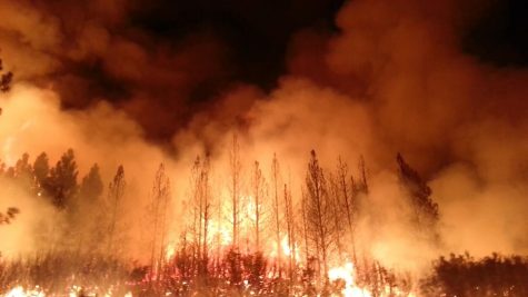 Wildfires devastate the state of California