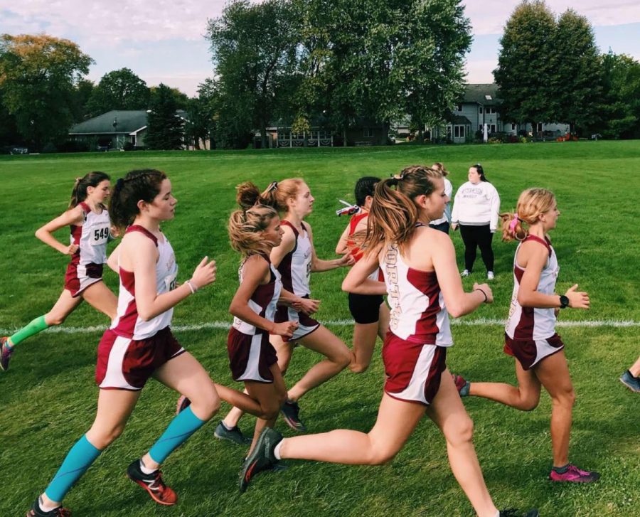 Girls cross country competes at state