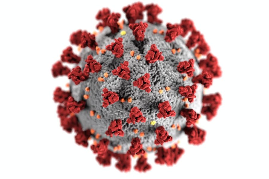 How the SARS-CoV-2 Coronavirus Mutates