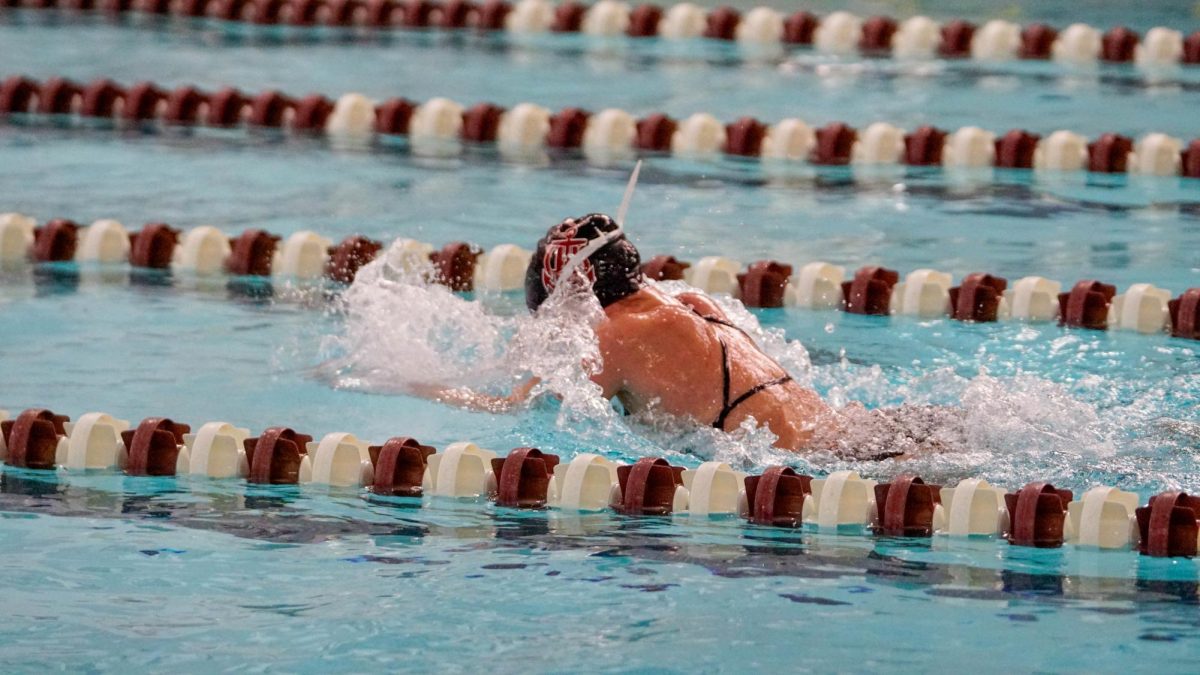 LTHS Girls Swim & Dive Dominate LWE