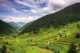 The Paddy Fields of Nepal, 2013
Accessed from www.flickr.com