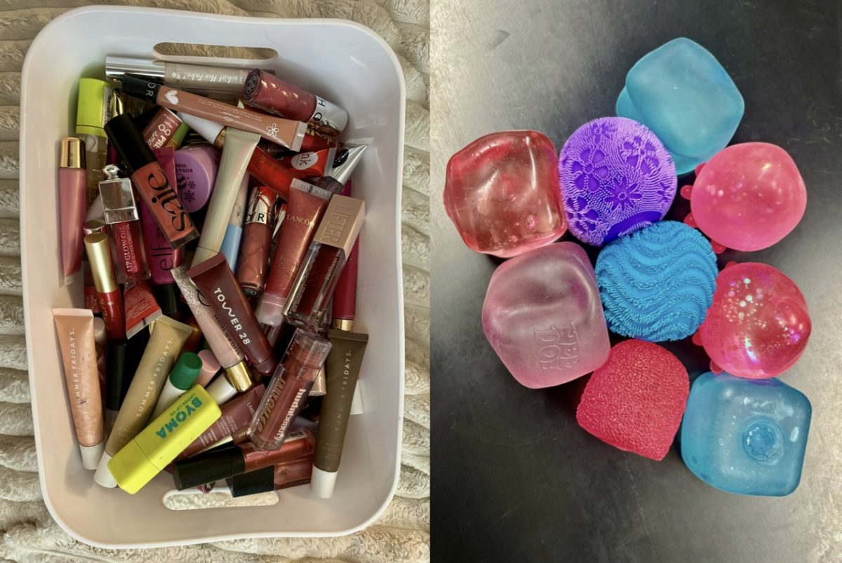 Collection of lip products and NeeDohs show how everyday items can quickly multiply as trends spread through school. 

Photo credit: Jessica Smith